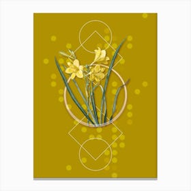 Vintage Daylily Botanical with Geometric Line Motif and Dot Pattern n.0210 Canvas Print