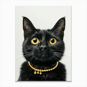 Black Cat With Gold Collar Canvas Print