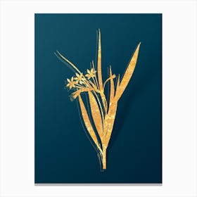 Vintage White Baboon Root Botanical in Gold on Teal Blue n.0231 Canvas Print
