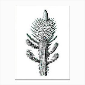 Woolly Torch Cactus William Morris Inspired Canvas Print