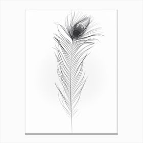 Black Peacock Feather 1 Canvas Print