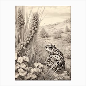 Desert Wave Frog Drawing 5 Canvas Print