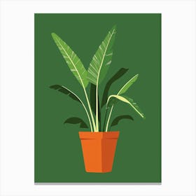 Banana Plant In A Pot 5 Canvas Print