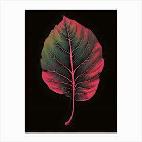 Leaf On A Black Background Canvas Print