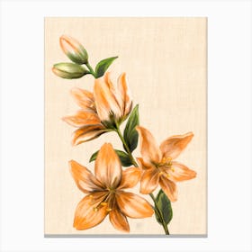 Lily Flower Canvas Print