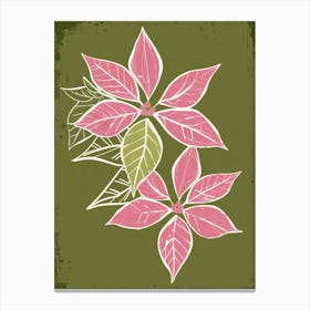 Pink & Green Poinsettia 2 Canvas Print
