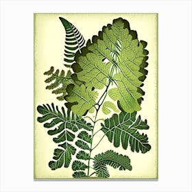Maidenhair Fern Vintage Botanical Poster Canvas Print
