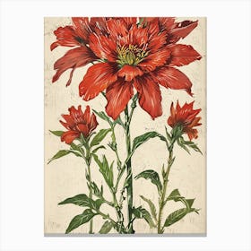 Red Cosmos 1 Canvas Print