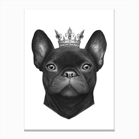 Queen French Bulldog Canvas Print