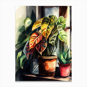 Watercolor Of Potted Plants nature flowers Canvas Print