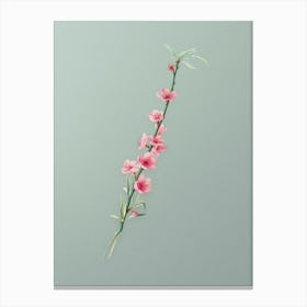 Vintage Peach Blossoms Botanical Art on Mint Green n.0129 Canvas Print