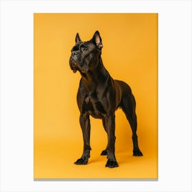 Black French Bulldog Standing On Yellow Background.Generated AI. Wall Art Print Canvas Print