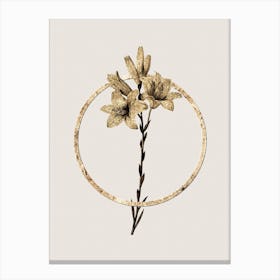 Gold Ring Madonna Lily Glitter Botanical Illustration n.0181 Canvas Print