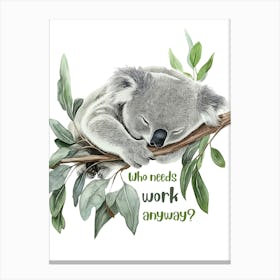 Koala, sleeping Canvas Print