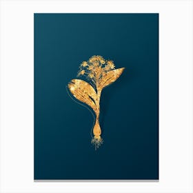 Vintage Pygmy Hyacinth Botanical in Gold on Teal Blue Canvas Print