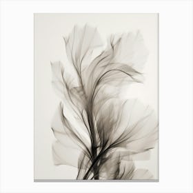 Floral Art 0005 X Ray Flowers 0004 Sephia X Ray Flowers 0022 Bp6586 Minimalist Soft Bright X Ray Scandinavian Minimali Canvas Print