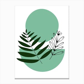 Ferns And Leaves Canvas Print