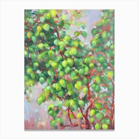 Weeping Fig 2 Impressionist Painting Plant Canvas Print
