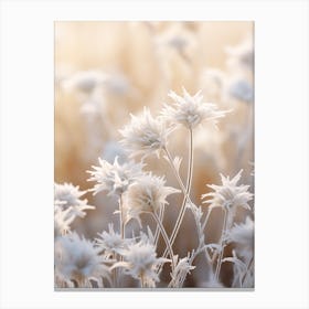 Frosty Botanical Edelweiss 2 Canvas Print