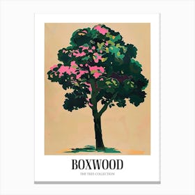 Boxwood Tree Colourful Illustration 1 Poster Canvas Print