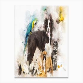 Group Of Pets Canvas Print