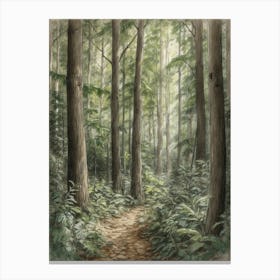 Path In The Woods 12 Canvas Print