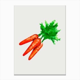 Carrots Canvas Print