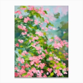 Pink Jasmine Impressionist Painting Plant Plant Canvas Print