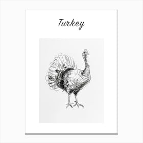 B&W Turkey Poster Canvas Print