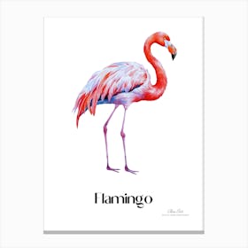 Flamingo. Long, thin legs. Pink or bright red color. Black feathers on the tips of its wings.9 Canvas Print