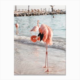 Flamingo Beach Canvas Print