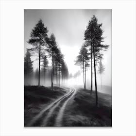 Foggy Road Canvas Print