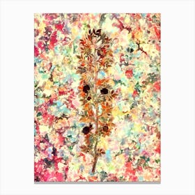 Impressionist Cuspidate Rose Botanical Painting in Blush Pink and Gold Canvas Print
