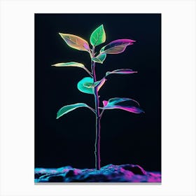 Neon Plant 32 Canvas Print