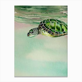 Green Turtle II Storybook Watercolour Canvas Print