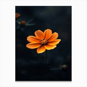 Single Orange Flower 8 Canvas Print