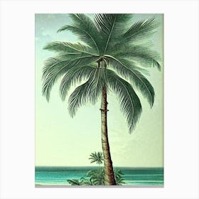 Sea Waterscape Vintage Illustration 1 Canvas Print