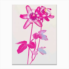 Hot Pink Passionflower Canvas Print