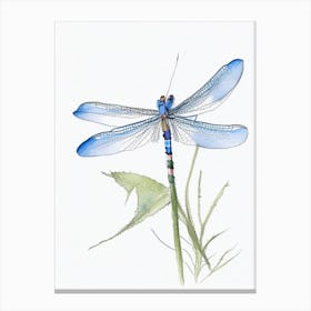 Blue Dasher Dragonfly Pencil Illustration 2 Canvas Print