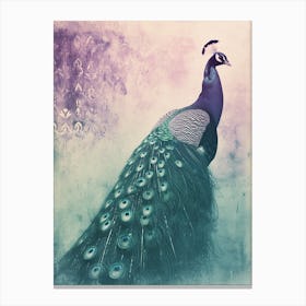 Turquoise Purple Vintage Photo Of A Peacock Canvas Print