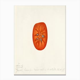 Tomato Canvas Print