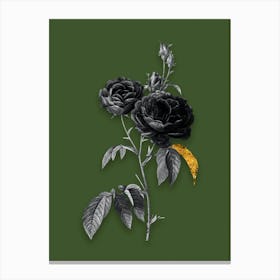 Vintage Purple Roses Black and White Gold Leaf Floral Art on Olive Green n.0045 Canvas Print