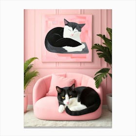 Cat On Pink Couch Canvas Print