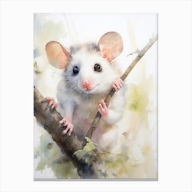 Light Watercolor Painting Of A Curious Possum 1 Canvas Print
