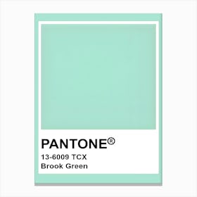 Pantone Brook Green Canvas Print