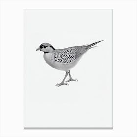 Pheasant B&W Pencil Drawing 1 Bird Canvas Print