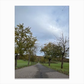 Empty Road With Trees 1 Canvas Print