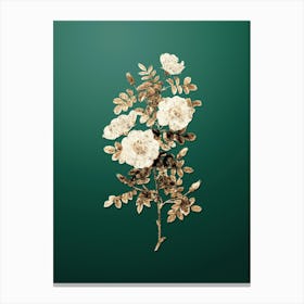 Gold Botanical White Burnet Roses on Dark Spring Green n.0331 Canvas Print