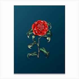 Vintage Mr. Reeves's Crimson Camellia Botanical Art on Teal Blue n.0012 Canvas Print