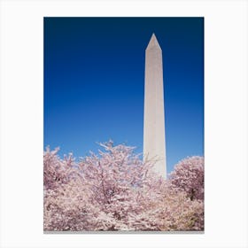 The Washington Monument In Washington, Dc Canvas Print